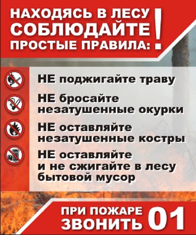 0.jpg